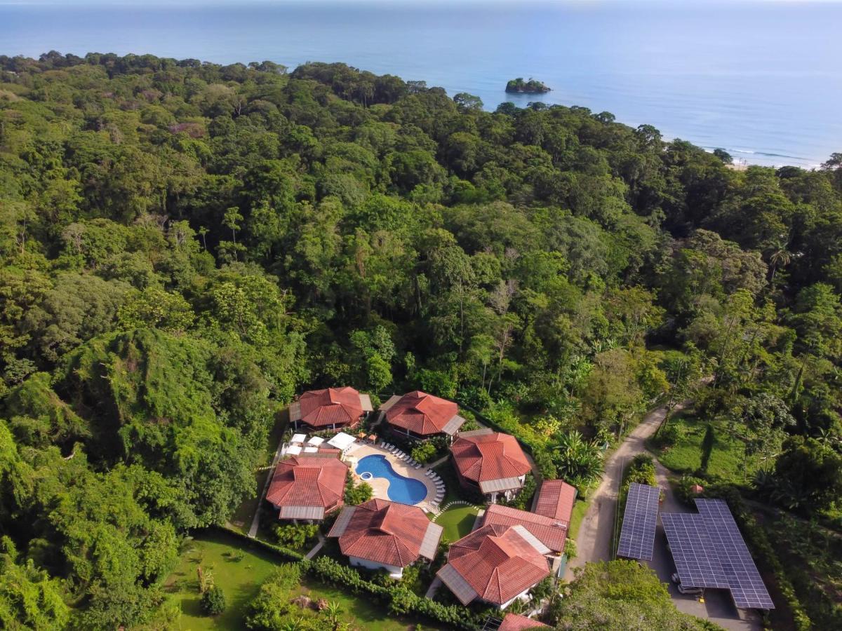 Terrazas Del Caribe Hotel Puerto Viejo de Talamanca Eksteriør billede