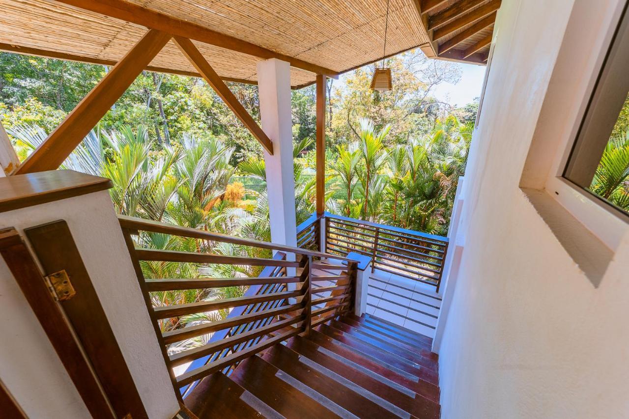 Terrazas Del Caribe Hotel Puerto Viejo de Talamanca Eksteriør billede